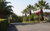 Туры в отель Hotel Il Gelso Bianco