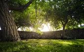 Туры в отель Hotel Masseria degli Ulivi