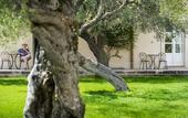 Туры в отель Hotel Masseria degli Ulivi