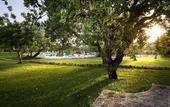 Туры в отель Hotel Masseria degli Ulivi