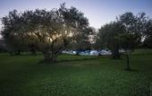 Туры в отель Hotel Masseria degli Ulivi