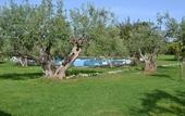 Туры в отель Hotel Masseria degli Ulivi