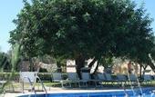 Туры в отель Hotel Masseria degli Ulivi