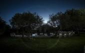Туры в отель Hotel Masseria degli Ulivi