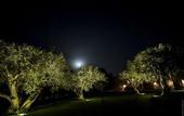 Туры в отель Hotel Masseria degli Ulivi