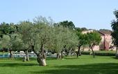 Туры в отель Hotel Masseria degli Ulivi