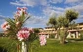 Туры в отель Eco Resort Dei Siriti