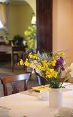 Туры в отель Casa Bellavista
