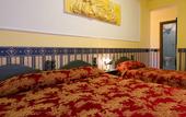 Туры в отель Hotel Louis II