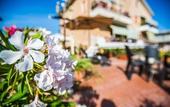 Туры в отель Tarchon Luxury B&B
