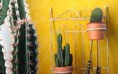 Туры в отель B&B Bio