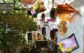 Туры в отель B&B Bio