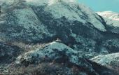 Туры в отель Antichi Feudi Dimora d'Epoca