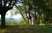 Туры в отель Tenuta Delo Relais