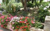 Туры в отель Baglio delle Rose