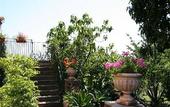 Туры в отель Baglio delle Rose