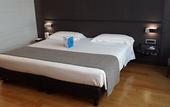 Туры в отель Best Western Plus Hotel Monza e Brianza Palace