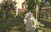 Туры в отель Villa Belfiore