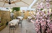 Туры в отель Fidenza Hotel