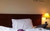 Туры в отель Fidenza Hotel