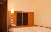Туры в отель Dolomiti Chalet Hotel