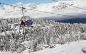 Туры в отель Dolomiti Chalet Hotel