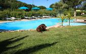 Туры в отель Alghero Resort Country Hotel