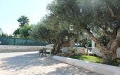 Туры в отель Signorino Eco Resort & Spa