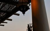 Туры в отель Hotel Cincotta