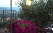 Туры в отель Hotel Ristorante La Bastiglia