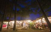 Туры в отель PuntAla Camp & Resort