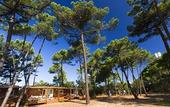 Туры в отель PuntAla Camp & Resort