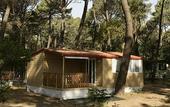 Туры в отель PuntAla Camp & Resort