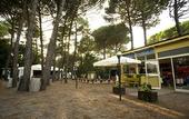 Туры в отель PuntAla Camp & Resort