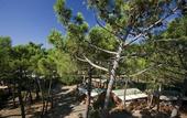 Туры в отель PuntAla Camp & Resort