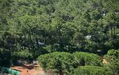 Туры в отель PuntAla Camp & Resort