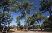 Туры в отель PuntAla Camp & Resort