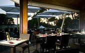 Туры в отель PuntAla Camp & Resort