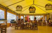 Туры в отель PuntAla Camp & Resort