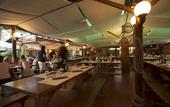 Туры в отель PuntAla Camp & Resort