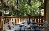 Туры в отель PuntAla Camp & Resort