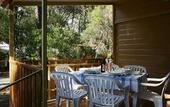 Туры в отель PuntAla Camp & Resort