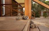 Туры в отель PuntAla Camp & Resort