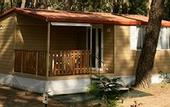 Туры в отель PuntAla Camp & Resort
