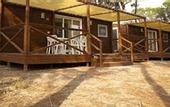 Туры в отель PuntAla Camp & Resort