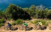 Туры в отель PuntAla Camp & Resort