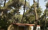 Туры в отель PuntAla Camp & Resort