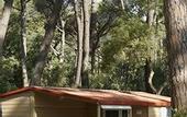 Туры в отель PuntAla Camp & Resort