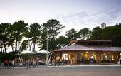 Туры в отель PuntAla Camp & Resort