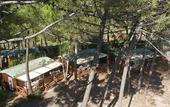Туры в отель PuntAla Camp & Resort